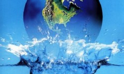 Newsletter Diciembre 2009