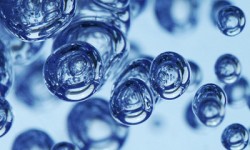 X Premio Internacional Marcial Campos